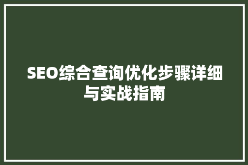 SEO综合查询优化步骤详细与实战指南