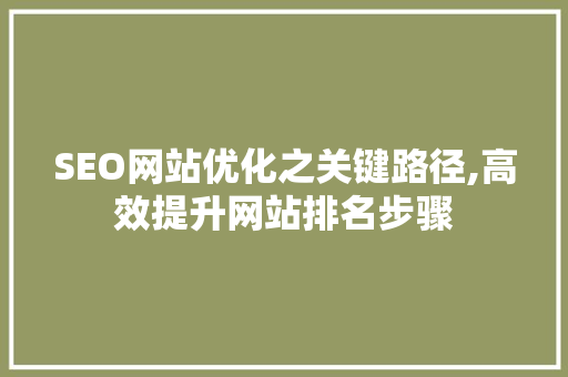 SEO网站优化之关键路径,高效提升网站排名步骤