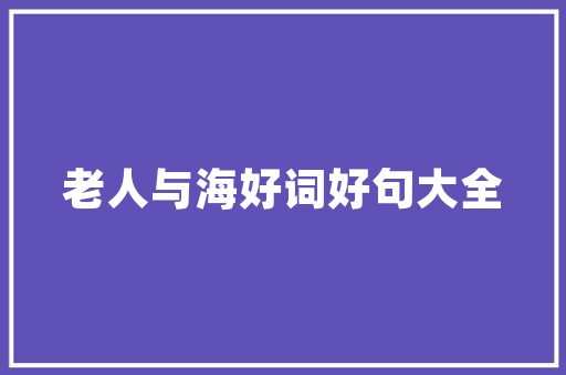Flash图片代码的魅力技术与艺术的完美融合