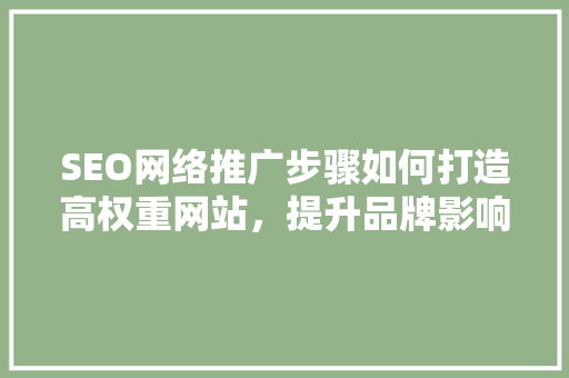 SEO网络推广步骤如何打造高权重网站，提升品牌影响力