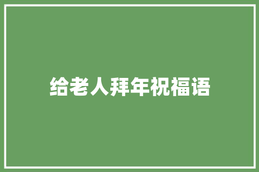 Flash技术的辉煌与传承——Flash显示代码的魅力