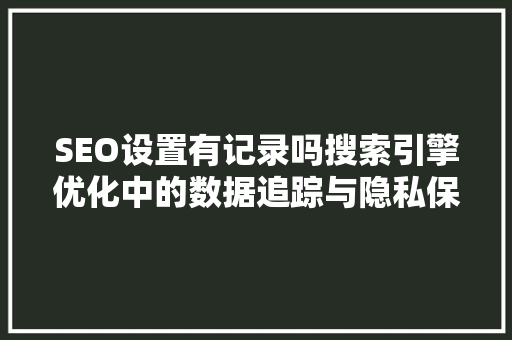 SEO设置有记录吗搜索引擎优化中的数据追踪与隐私保护