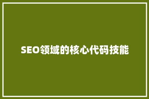 SEO领域的核心代码技能