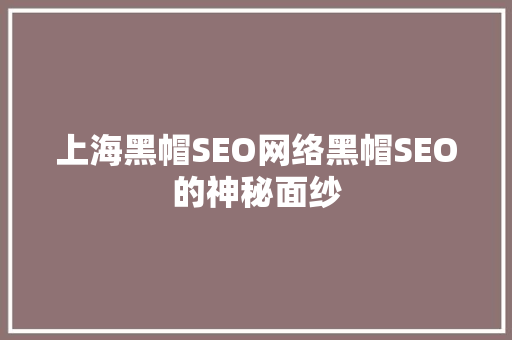 上海黑帽SEO网络黑帽SEO的神秘面纱