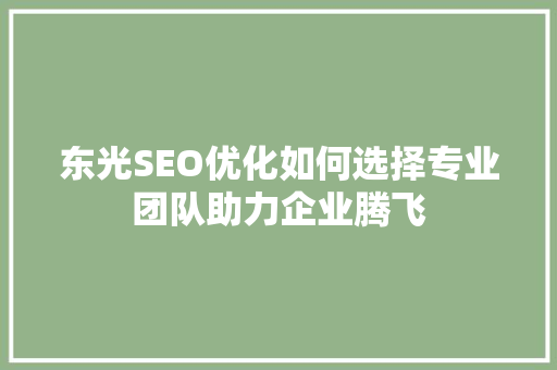 东光SEO优化如何选择专业团队助力企业腾飞