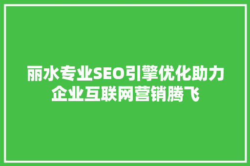 丽水专业SEO引擎优化助力企业互联网营销腾飞