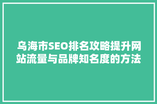 乌海市SEO排名攻略提升网站流量与品牌知名度的方法