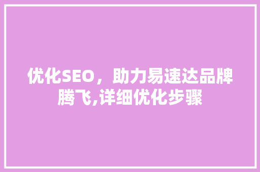 优化SEO，助力易速达品牌腾飞,详细优化步骤