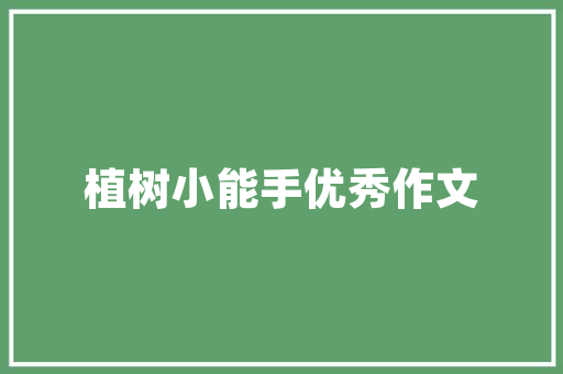 H5代码绘心，解码爱的密码