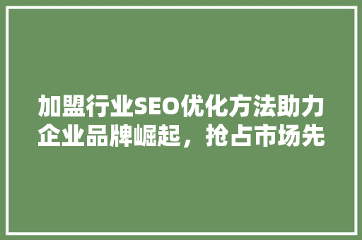加盟行业SEO优化方法助力企业品牌崛起，抢占市场先机