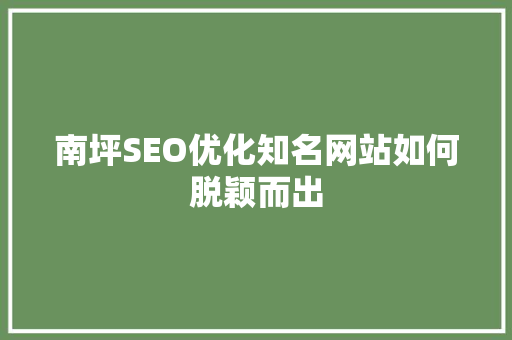 南坪SEO优化知名网站如何脱颖而出