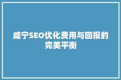 咸宁SEO优化费用与回报的完美平衡