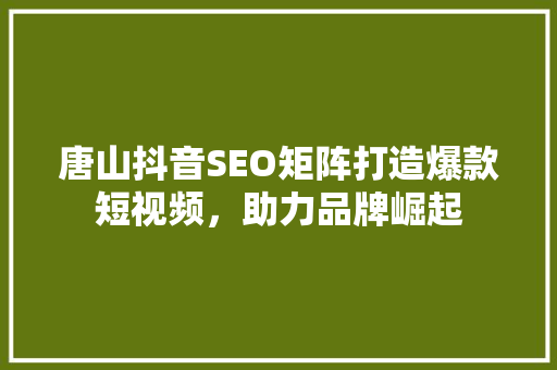 唐山抖音SEO矩阵打造爆款短视频，助力品牌崛起
