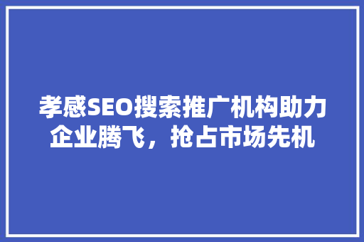 孝感SEO搜索推广机构助力企业腾飞，抢占市场先机
