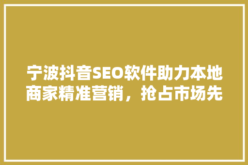 宁波抖音SEO软件助力本地商家精准营销，抢占市场先机