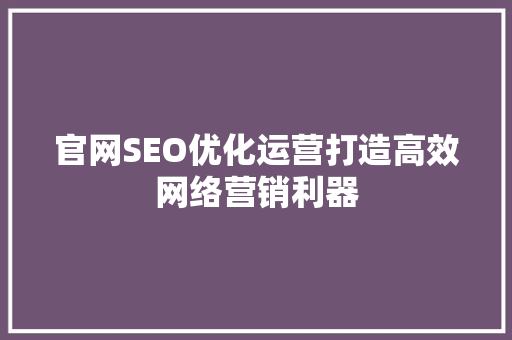 官网SEO优化运营打造高效网络营销利器