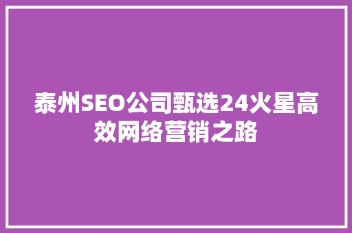 泰州SEO公司甄选24火星高效网络营销之路