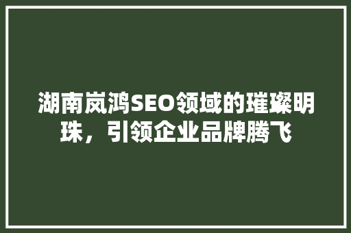 湖南岚鸿SEO领域的璀璨明珠，引领企业品牌腾飞