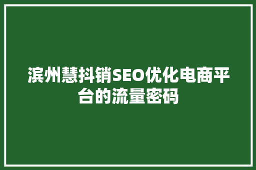滨州慧抖销SEO优化电商平台的流量密码