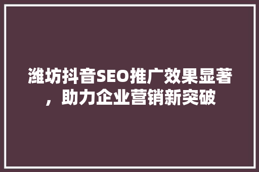 潍坊抖音SEO推广效果显著，助力企业营销新突破