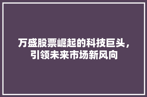 万盛股票崛起的科技巨头，引领未来市场新风向