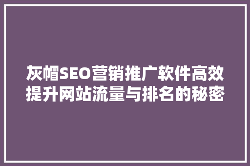 灰帽SEO营销推广软件高效提升网站流量与排名的秘密武器