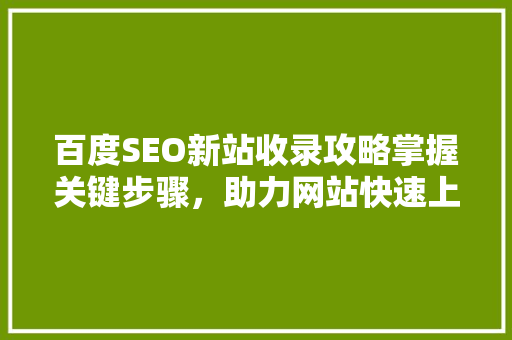 百度SEO新站收录攻略掌握关键步骤，助力网站快速上线