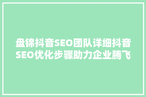 盘锦抖音SEO团队详细抖音SEO优化步骤助力企业腾飞