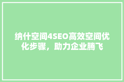 纳什空间4SEO高效空间优化步骤，助力企业腾飞