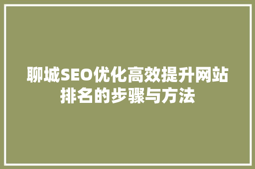 聊城SEO优化高效提升网站排名的步骤与方法