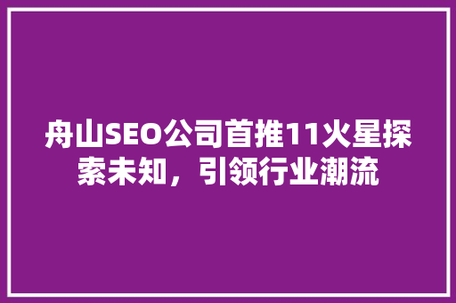 舟山SEO公司首推11火星探索未知，引领行业潮流