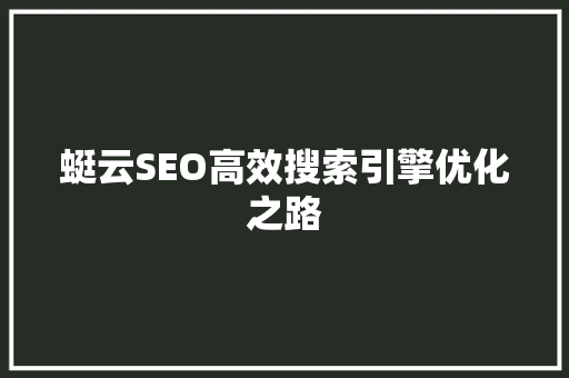 蜓云SEO高效搜索引擎优化之路
