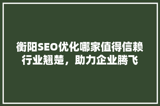 衡阳SEO优化哪家值得信赖行业翘楚，助力企业腾飞