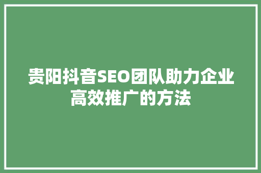 贵阳抖音SEO团队助力企业高效推广的方法