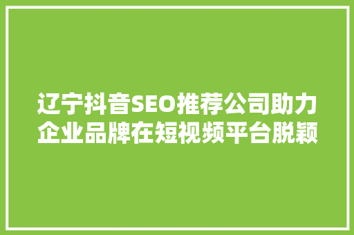辽宁抖音SEO推荐公司助力企业品牌在短视频平台脱颖而出