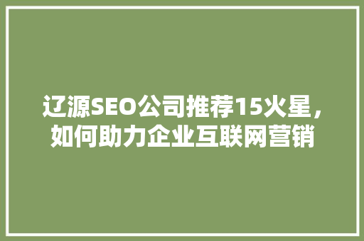 辽源SEO公司推荐15火星，如何助力企业互联网营销