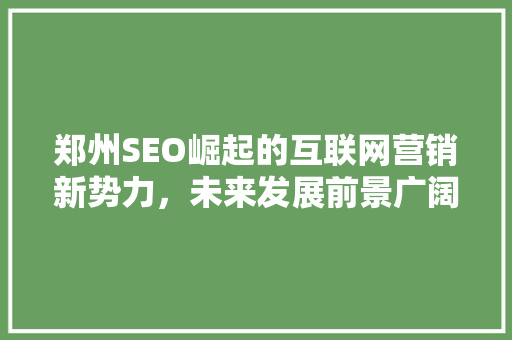郑州SEO崛起的互联网营销新势力，未来发展前景广阔