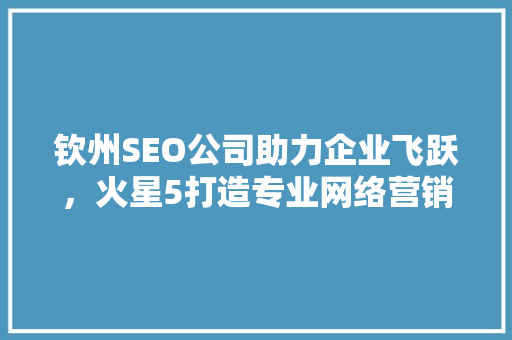 钦州SEO公司助力企业飞跃，火星5打造专业网络营销解决方法