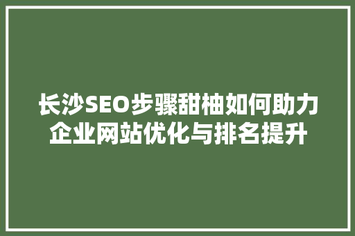 长沙SEO步骤甜柚如何助力企业网站优化与排名提升