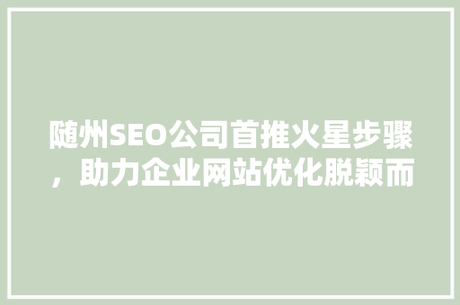 随州SEO公司首推火星步骤，助力企业网站优化脱颖而出