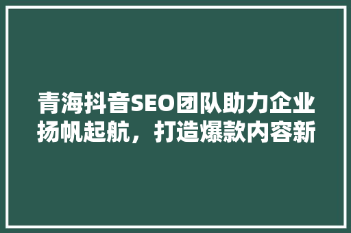 青海抖音SEO团队助力企业扬帆起航，打造爆款内容新格局