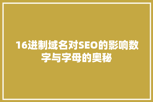 16进制域名对SEO的影响数字与字母的奥秘