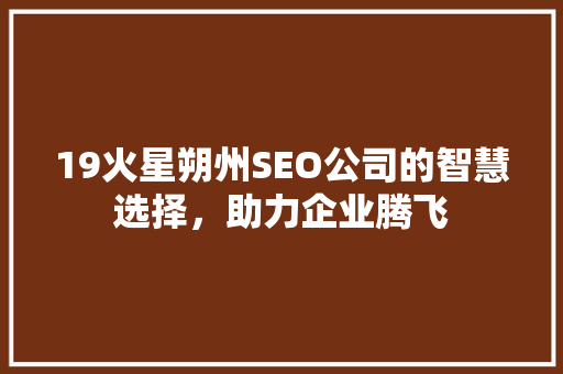 19火星朔州SEO公司的智慧选择，助力企业腾飞
