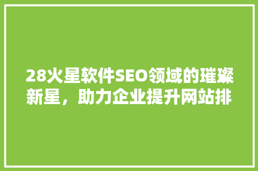 28火星软件SEO领域的璀璨新星，助力企业提升网站排名
