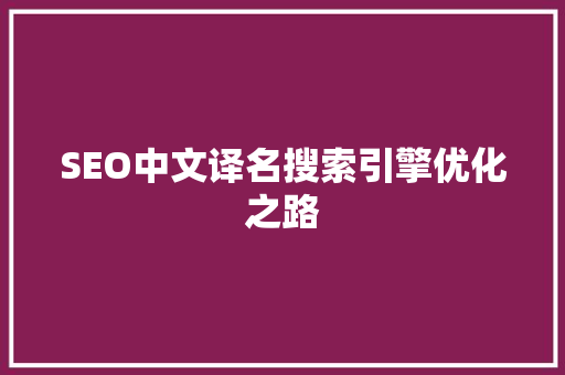 SEO中文译名搜索引擎优化之路