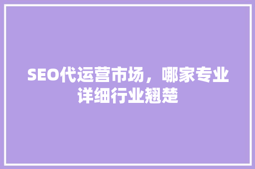 SEO代运营市场，哪家专业详细行业翘楚