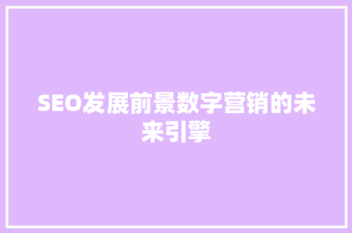 SEO发展前景数字营销的未来引擎