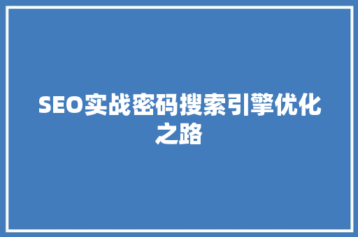 SEO实战密码搜索引擎优化之路