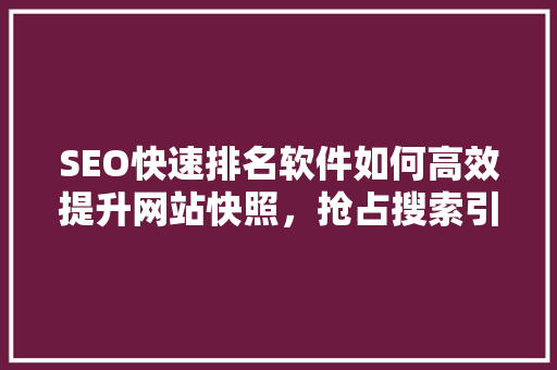 SEO快速排名软件如何高效提升网站快照，抢占搜索引擎排名