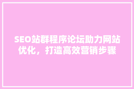 SEO站群程序论坛助力网站优化，打造高效营销步骤